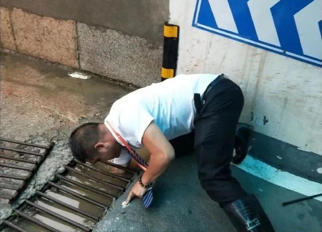 73陽(yáng)光大地