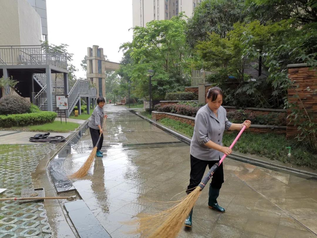 74陽(yáng)光大地