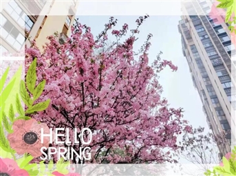 力寶·春景集┃共沐春風(fēng)，陽(yáng)光下的一切都好美