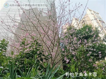 植樹(shù)節丨 在惠民物業(yè)園區，春天的氣息久久彌漫
